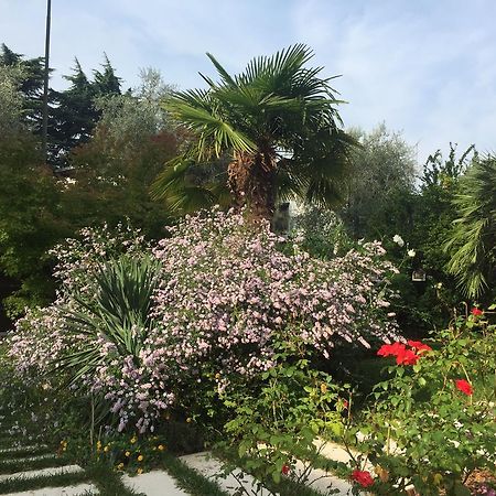 דסנזאנו דל גארדה Villa Arzilla מראה חיצוני תמונה